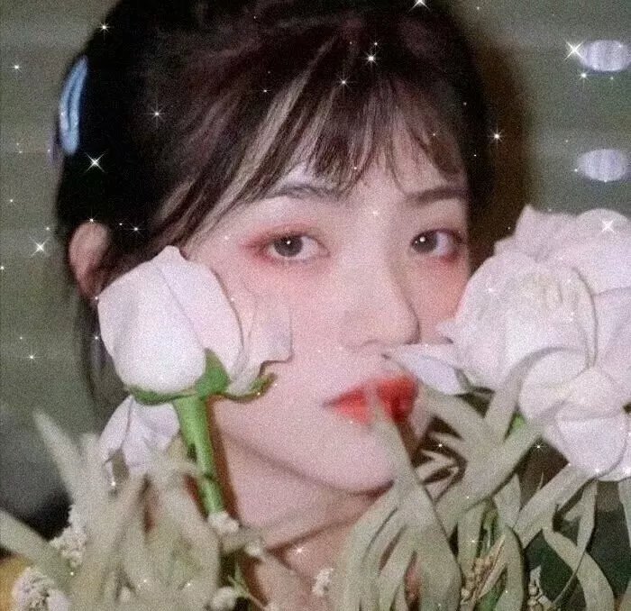 沉默的伙伴